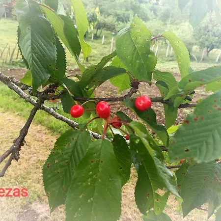 Casona De 아파트 Miyares